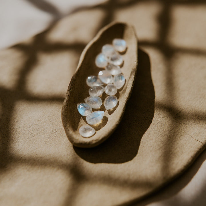 Opal stones in a pod with a leafy background