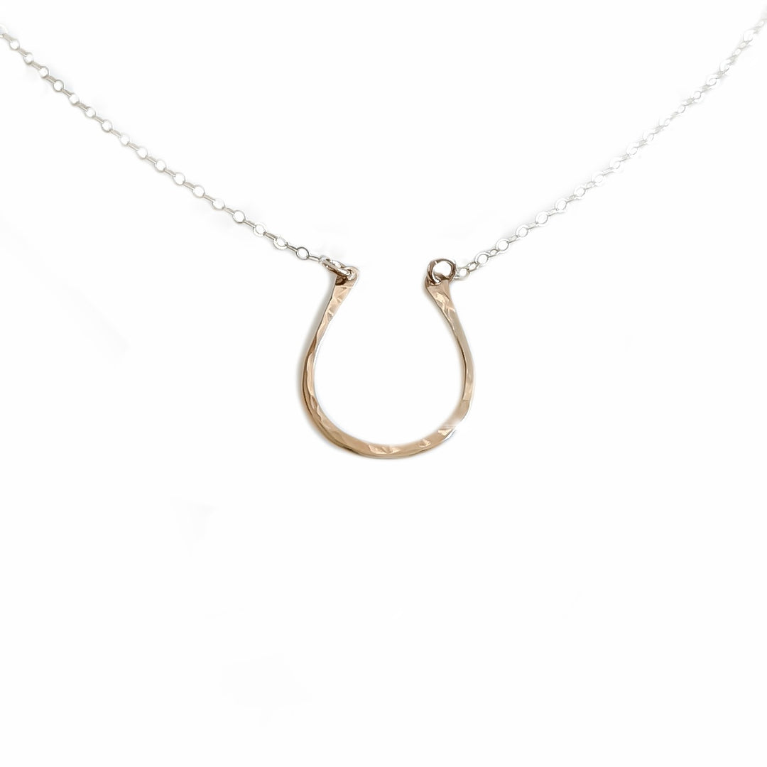 Teressa Lane Jewelry delicate horseshoe necklace with hammered gold pendant on silver chain