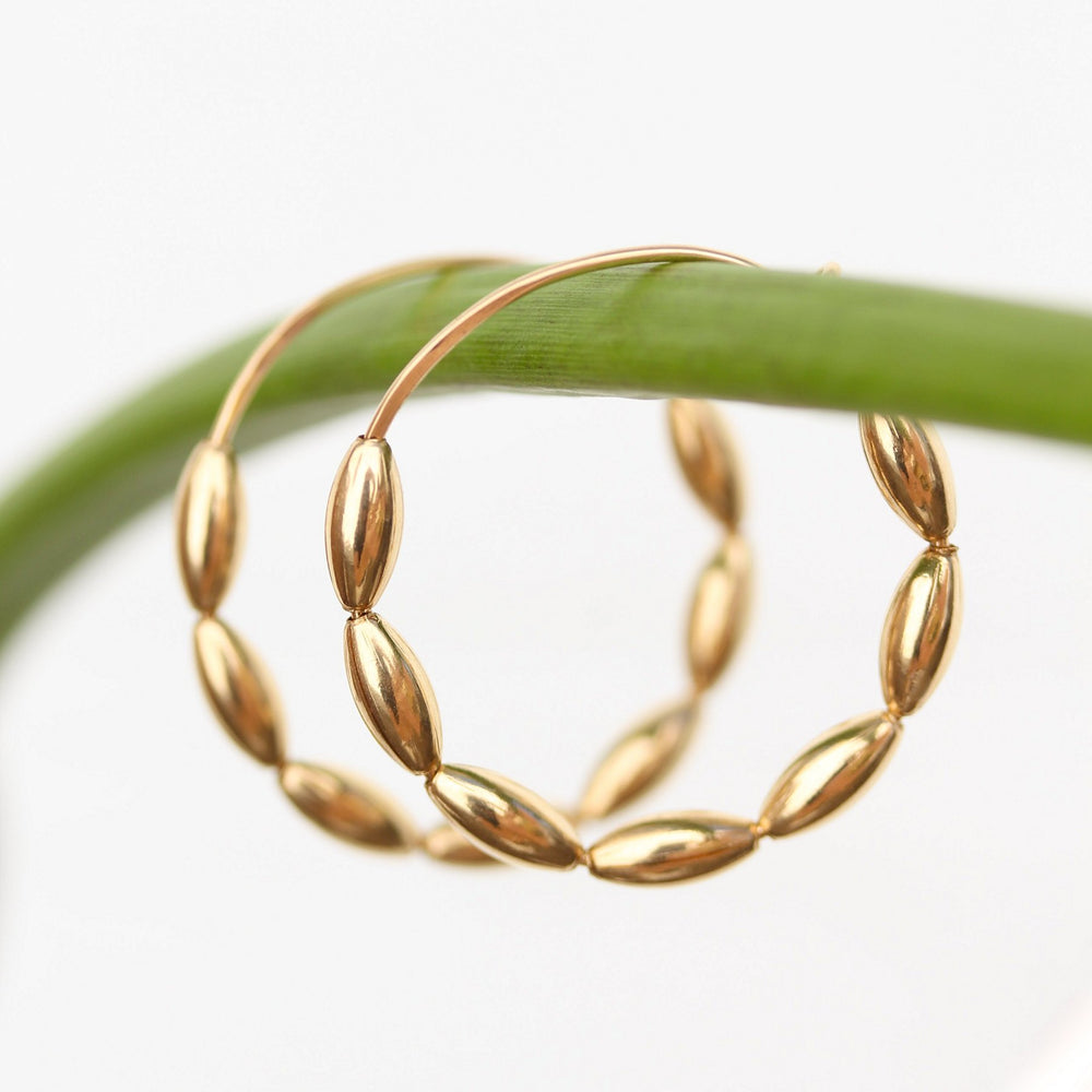 Gold Bead Solace hoop earrings hanging from a green calla lily stem