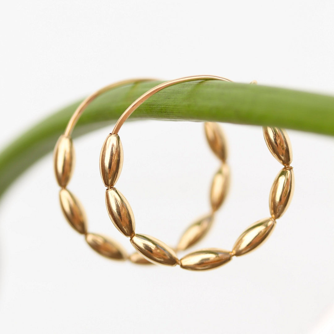 Gold Bead Solace hoop earrings hanging from a green calla lily stem
