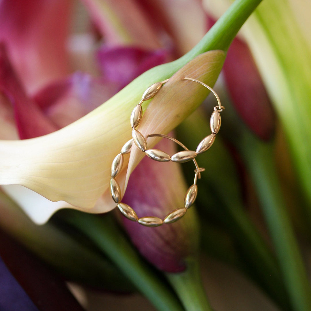 Gold Bead Solace hoops resting on a cream calla lily
