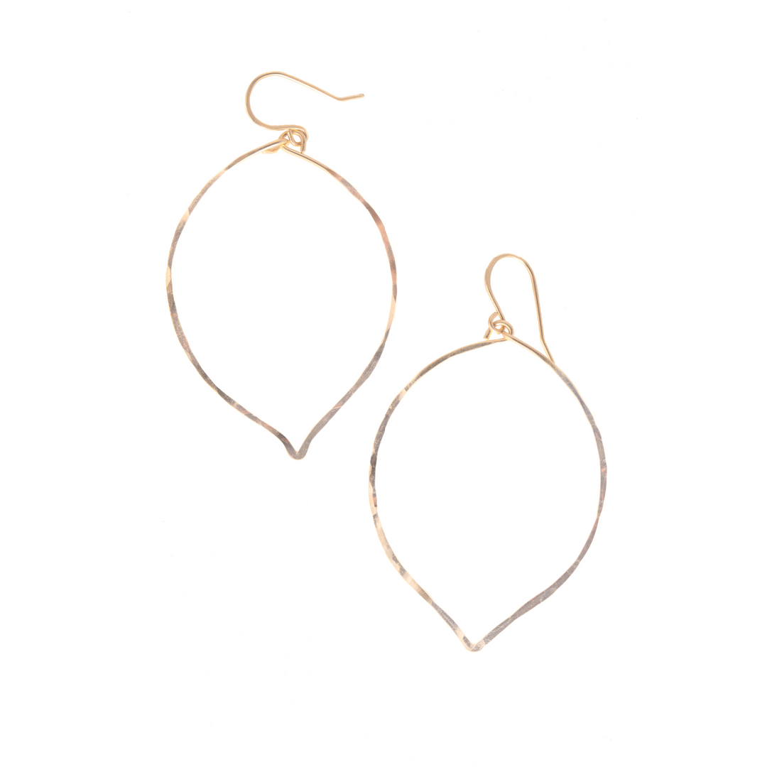 Teressa Lane Jewelry Aminy Gold Earrings