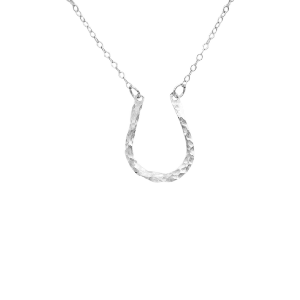 Teressa Lane Jewelry silver hammered horseshoe necklace on delicate chain
